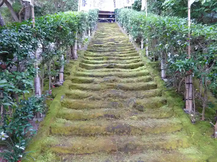 杉本寺(神奈川県)