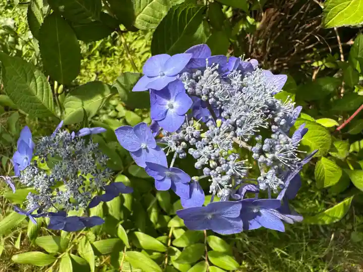 高屋敷稲荷神社(福島県)