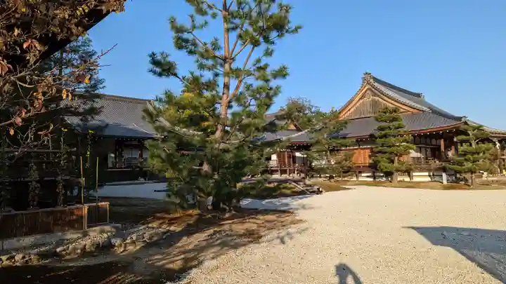 大覚寺(京都府)