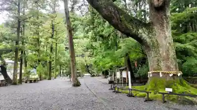 事任八幡宮(静岡県)