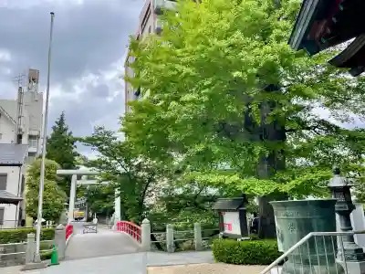 松戸神社(千葉県)