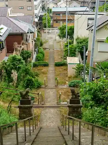 御霊神社（川名御霊神社）の狛犬