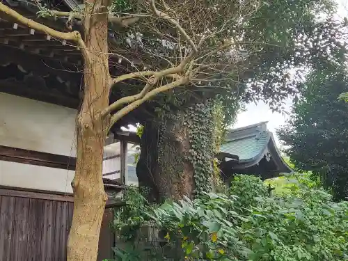 尾津神社（小山）の本殿・本堂
