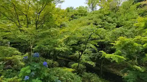 東福禅寺（東福寺）の庭園