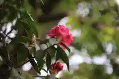 阿邪訶根神社の庭園