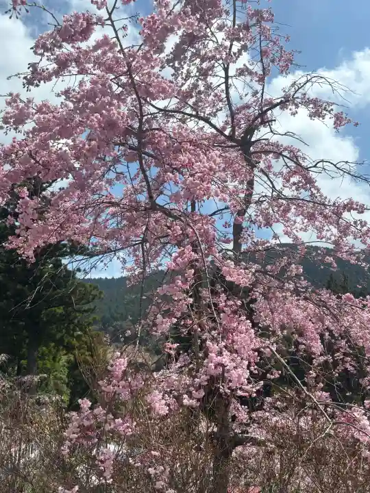 呑山観音寺の{uncategorized: "未分類", other: "その他", undefined: "問題あり", building: "その他建物", grave: "お墓", sacred_gate: "鳥居", guardian: "狛犬", statue: "像", buddha: "仏像", history: "歴史", nature: "自然", garden: "庭園", animal: "動物", pagoda: "塔", temizu: "手水舎", mountain_gate: "山門・神門", sanctuary: "本殿・本堂", subordinate: "末社・摂社", art: "芸術", scenery: "景色", jizo: "地蔵", ema: "絵馬", goshuin: "御朱印", omikuji: "おみくじ", items: "授与品その他", amulet: "お守り", goshuincho: "御朱印帳", eats: "食事", festival: "お祭り", votive_dance: "神楽", shichigosan: "七五三参", wedding: "結婚式", experience: "体験その他", initially: "初詣", around: "周辺", anti_infection: "感染症対策"}