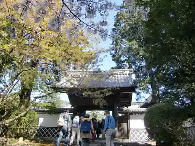 鎌田神明宮(静岡県)