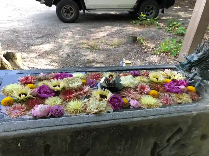 宇佐八幡神社の手水舎