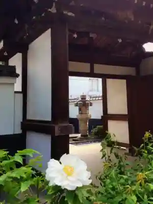 圓照寺(東京都)