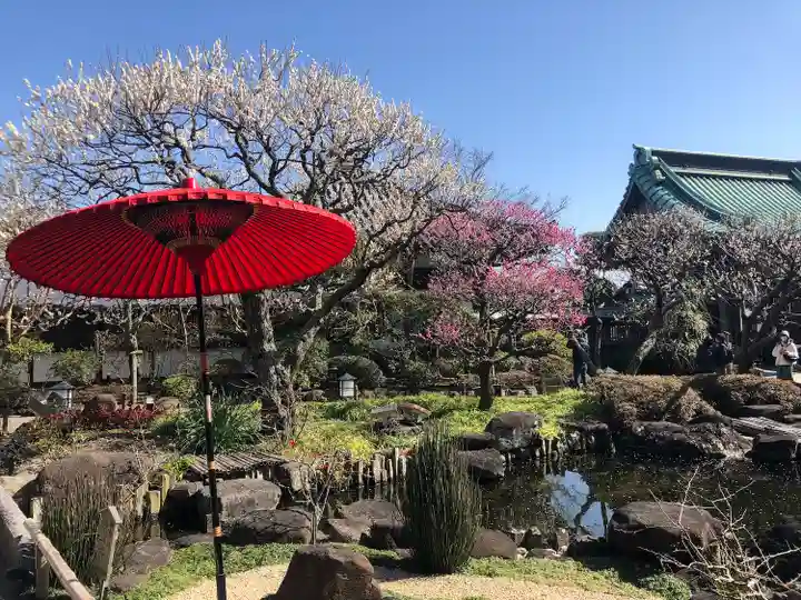 長谷寺の庭園