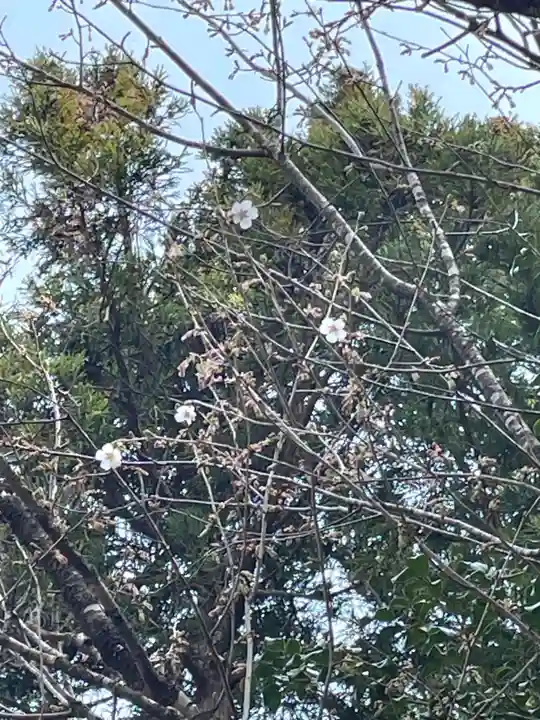 国上寺(新潟県)