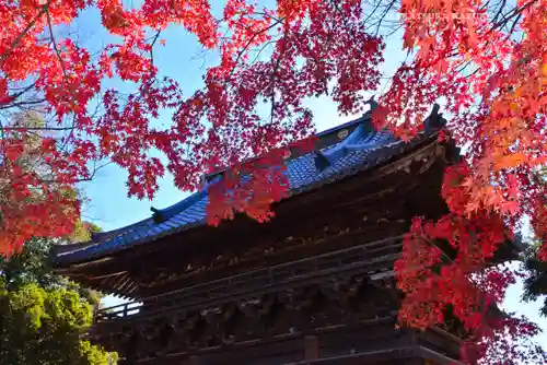 鑁阿寺(栃木県)