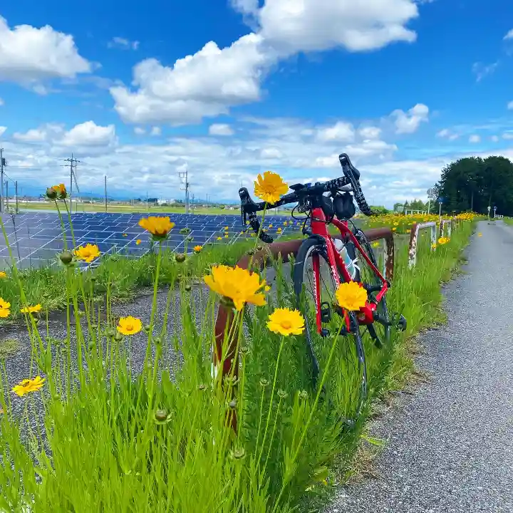 白蛇辨財天の自然