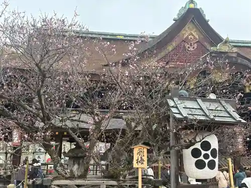 北野天満宮(京都府)