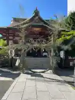 東神奈川熊野神社(神奈川県)