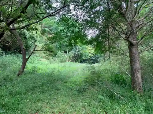 愛宕神社の周辺