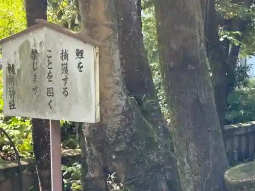 三嶋大社(静岡県)