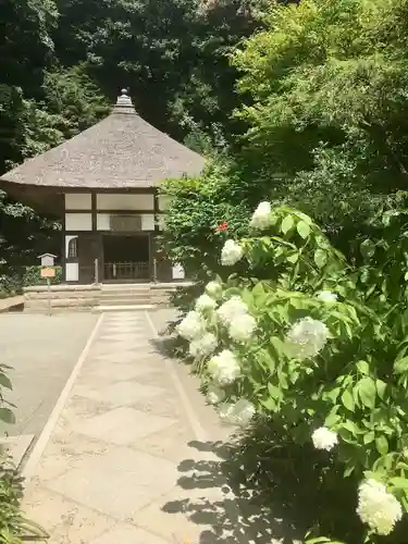 明月院(神奈川県)