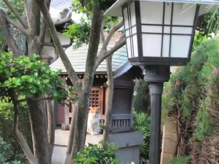 地蔵院(埼玉県)