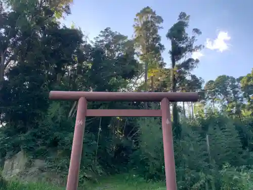 柏原神社の鳥居