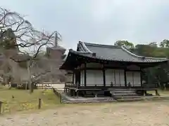 醍醐寺(京都府)