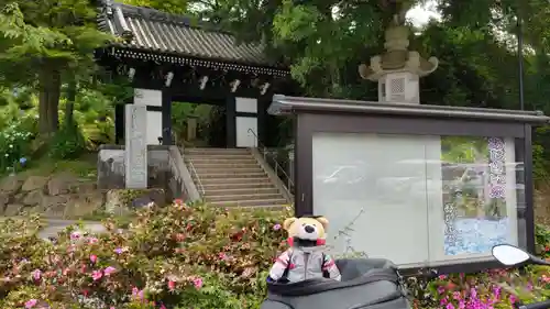 楽法寺（雨引観音）の山門