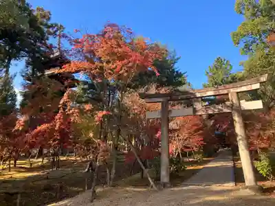 仁和寺(京都府)