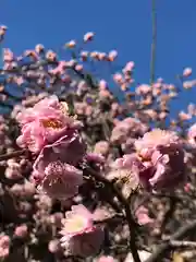 菊田神社の自然