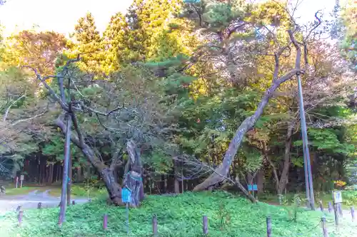 磐椅神社(福島県)