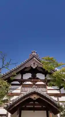 高台寺(高台寿聖禅寺・高臺寺)の本殿・本堂