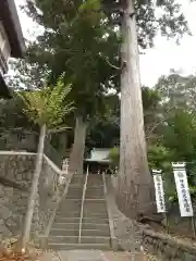 日枝神社の建物その他