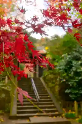 円覚寺(神奈川県)