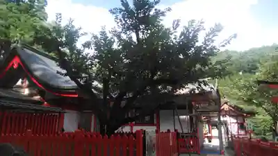 金櫻神社のその他建物