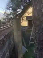 秋葉神社(加納徳川)のその他建物