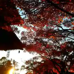 西見寺の建物その他