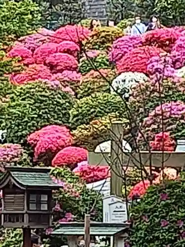 根津神社(東京都)
