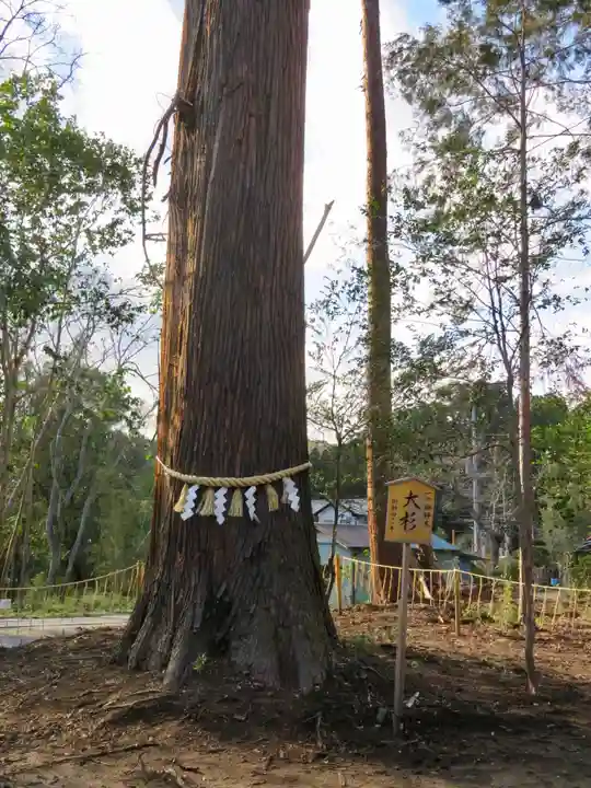 鶴峯八幡宮の自然