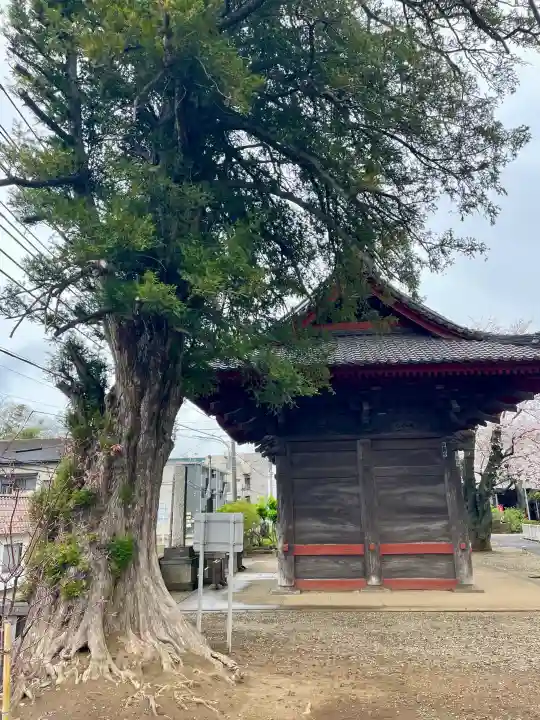 千葉寺の{uncategorized: "未分類", other: "その他", undefined: "問題あり", building: "その他建物", grave: "お墓", sacred_gate: "鳥居", guardian: "狛犬", statue: "像", buddha: "仏像", history: "歴史", nature: "自然", garden: "庭園", animal: "動物", pagoda: "塔", temizu: "手水舎", mountain_gate: "山門・神門", sanctuary: "本殿・本堂", subordinate: "末社・摂社", art: "芸術", scenery: "景色", jizo: "地蔵", ema: "絵馬", goshuin: "御朱印", omikuji: "おみくじ", items: "授与品その他", amulet: "お守り", goshuincho: "御朱印帳", eats: "食事", festival: "お祭り", votive_dance: "神楽", shichigosan: "七五三参", wedding: "結婚式", experience: "体験その他", initially: "初詣", around: "周辺", anti_infection: "感染症対策"}