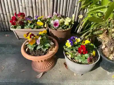 甘酒稲荷神社(東京都)