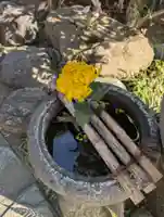 龍泉院(東京都)