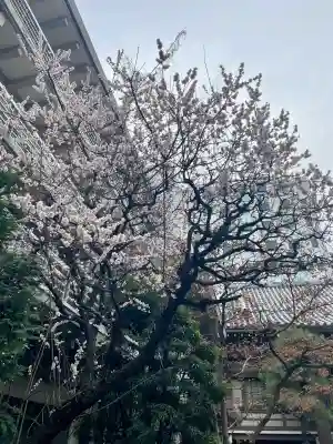 花岳院(東京都)
