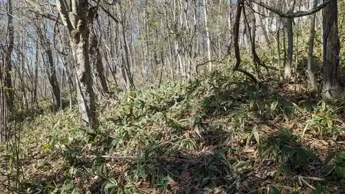 釧路神社の自然