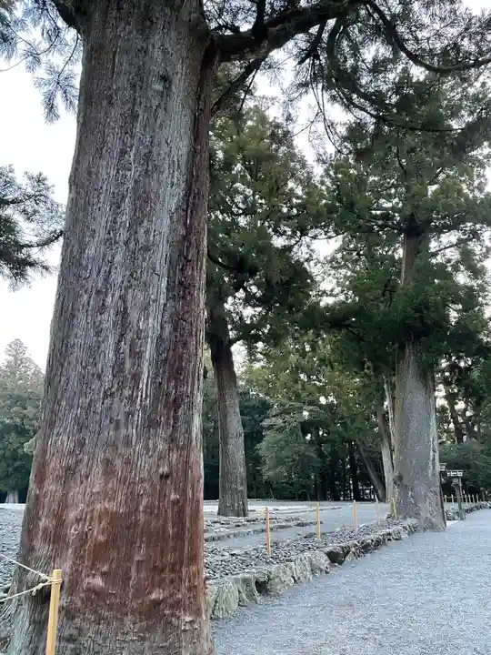 伊勢神宮外宮(豊受大神宮)の自然