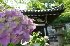 南法華寺（壷阪寺）の自然