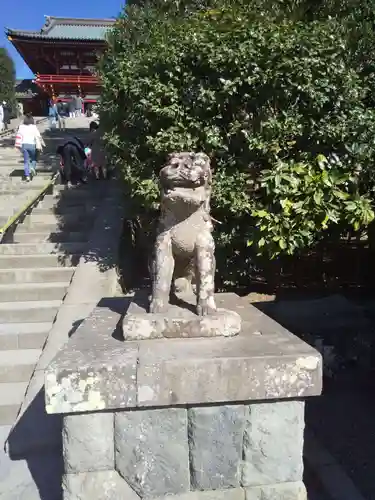 鶴岡八幡宮の狛犬