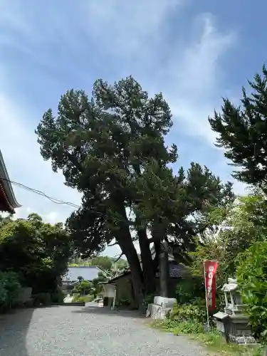 波立寺（波立薬師）(福島県)