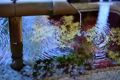 鶴岡八幡宮の手水舎