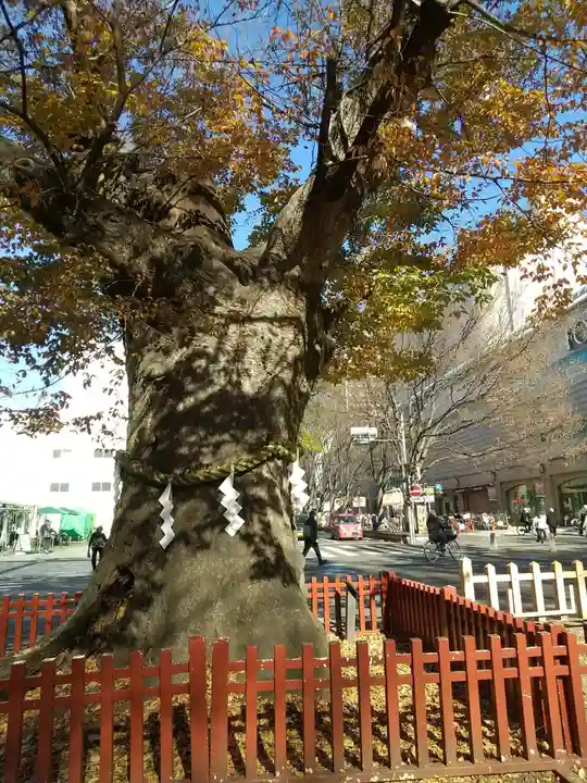 大國魂神社(東京都)