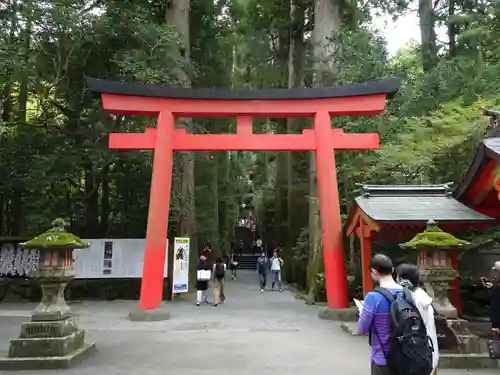 箱根神社の鳥居