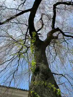 宝聚院(京都府)